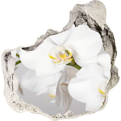 Fali matrica lyuk a falban Orchidea
