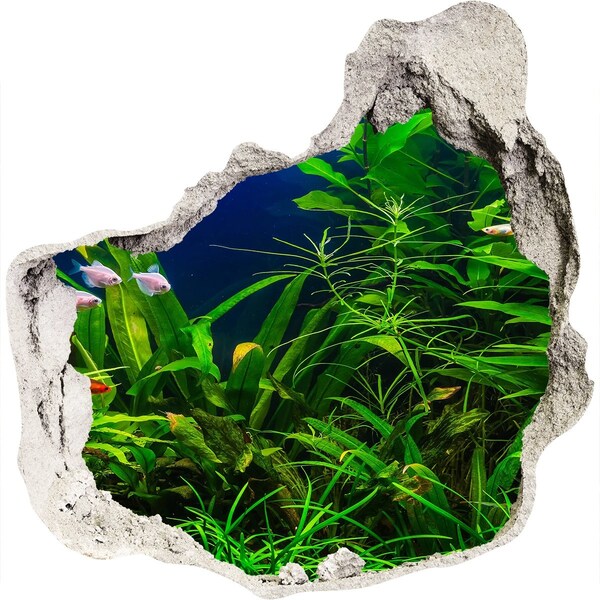 Fali matrica lyuk a falban A víz alatti világ az akváriumban