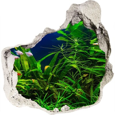 Fali matrica lyuk a falban A víz alatti világ az akváriumban