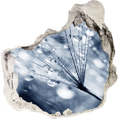 Fali matrica lyuk a falban Harmatcseppek a pitypangon