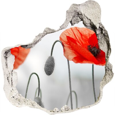 Fali matrica lyuk a falban Virágok egy lyukban a falban