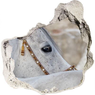 Fali matrica lyuk a falban Fehér arab ló
