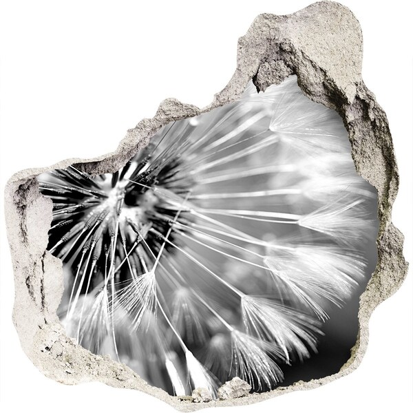 3d-s lyukat fali matrica Pitypangok fekete-fehérben