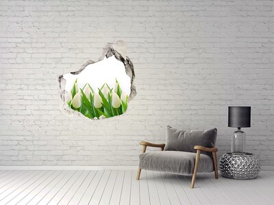 3d-s lyukat fali matrica Fehér tulipán