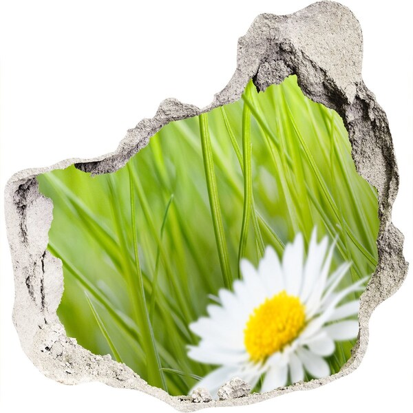 3d-s lyukat fali matrica Egy virág a zöld kertben