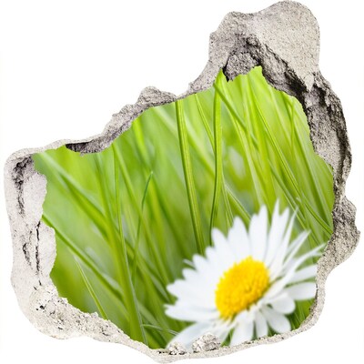 3d-s lyukat fali matrica Egy virág a zöld kertben