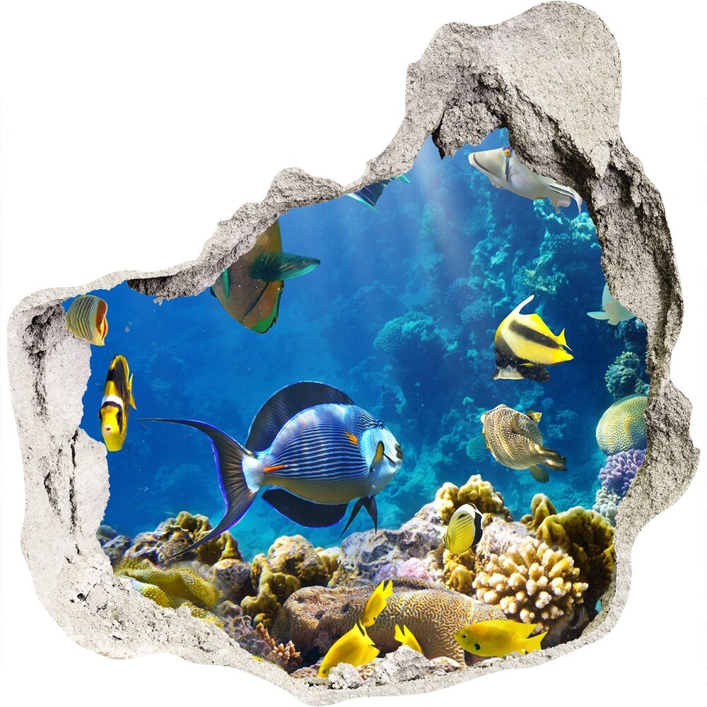 3d-s lyukat fali matrica Korallzátony