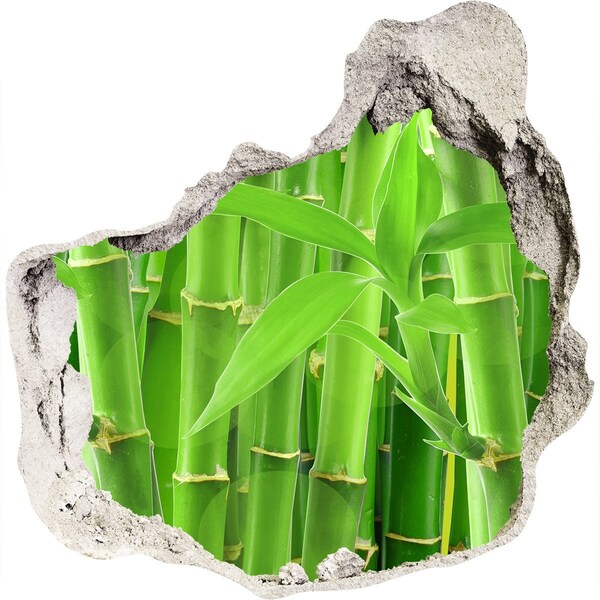 3d-s lyukat fali matrica Zöld bambuszerdő