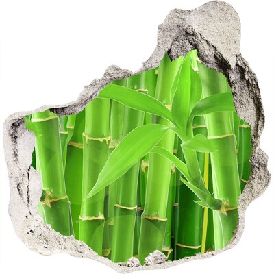 3d-s lyukat fali matrica Zöld bambuszerdő