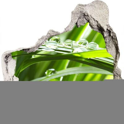 3d-s lyukat fali matrica Zöld rét vízcseppekkel