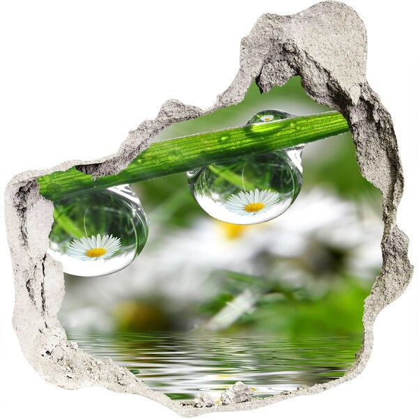 3d-s lyukat fali matrica Virágos oázis vízcseppekkel