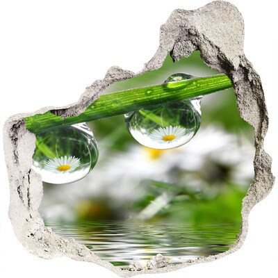 3d-s lyukat fali matrica Virágos oázis vízcseppekkel