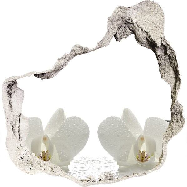 3d-s lyukat fali matrica Virágok betonban