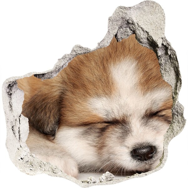 3d-s lyukat fali matrica Aranyos kiskutya egy lyukban a falban