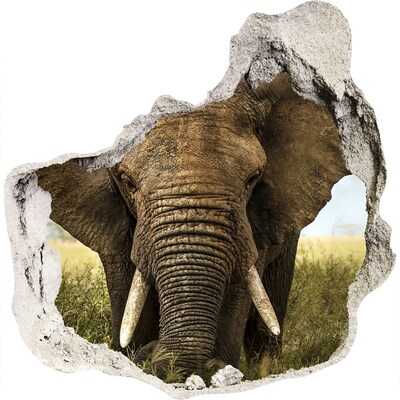 3d-s lyukat fali matrica Elefánt a szavannán