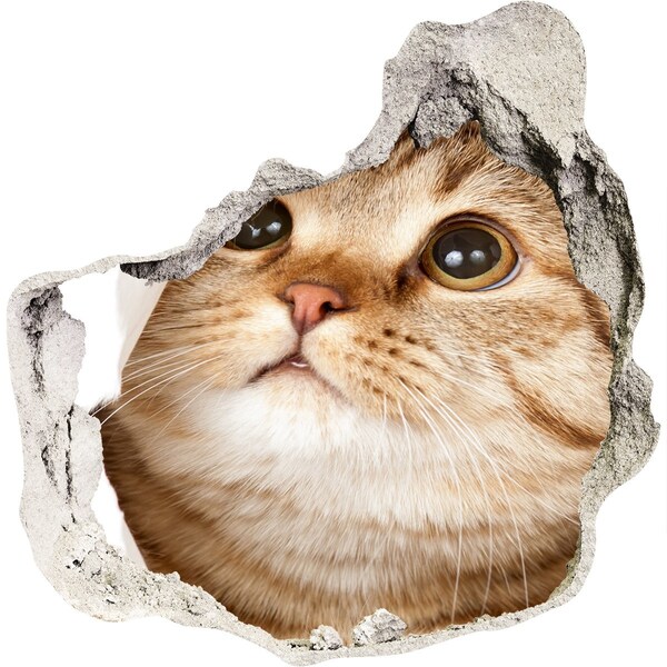 3d-s lyuk vizuális effektusok matrica Macska egy lyukban a falban