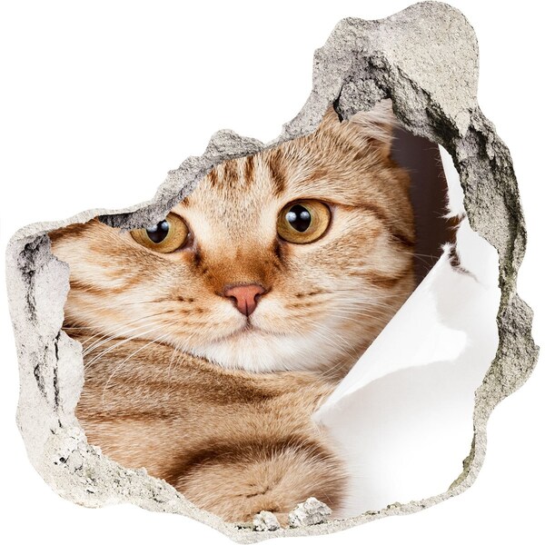3d-s lyuk vizuális effektusok matrica Macska egy lyukban a falban