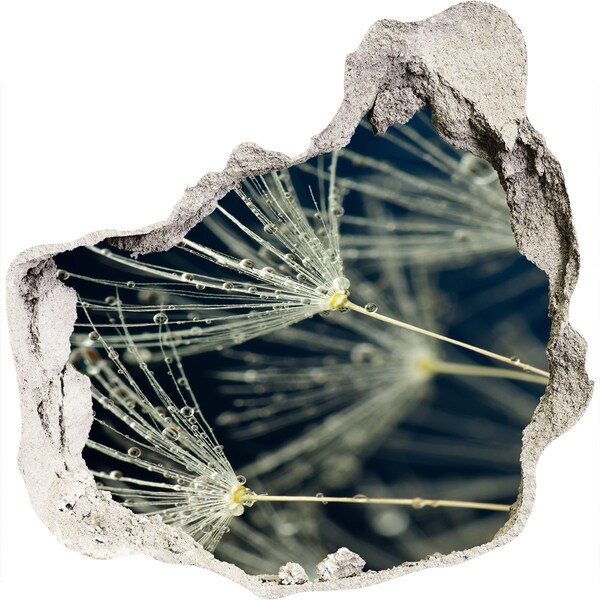 3d-s lyuk vizuális effektusok matrica Pitypang virágok a vízben