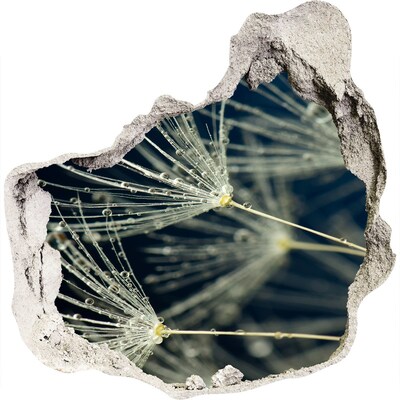 3d-s lyuk vizuális effektusok matrica Pitypang virágok a vízben