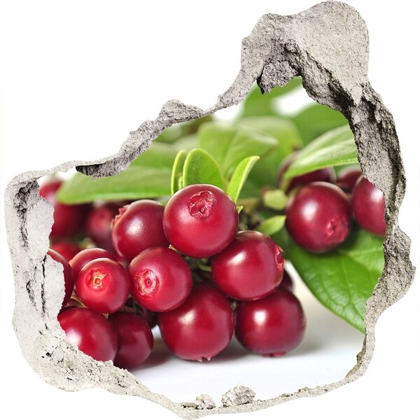 3d-s lyuk vizuális effektusok matrica Gyümölcsös lyuk a falban