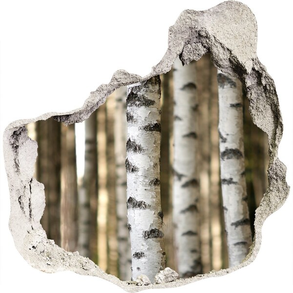 3d-s lyuk vizuális effektusok matrica Erdei oázis betonban