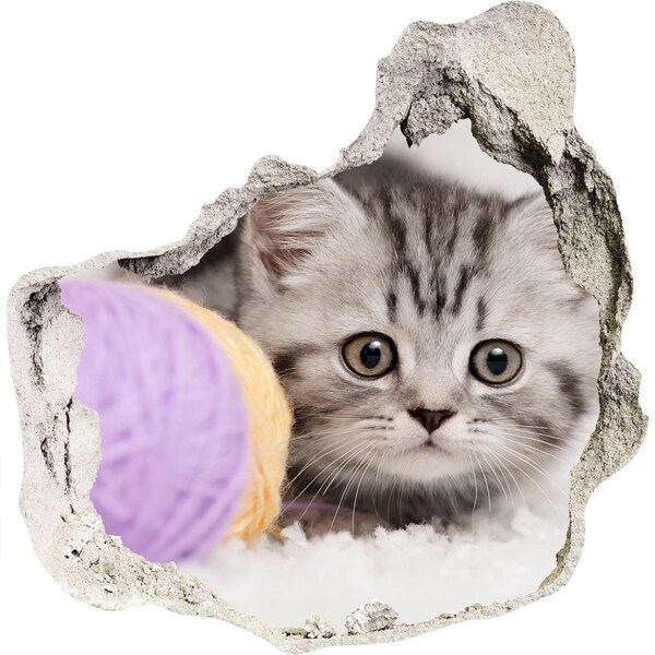 3d-s lyuk vizuális effektusok matrica A cica a fal mögött