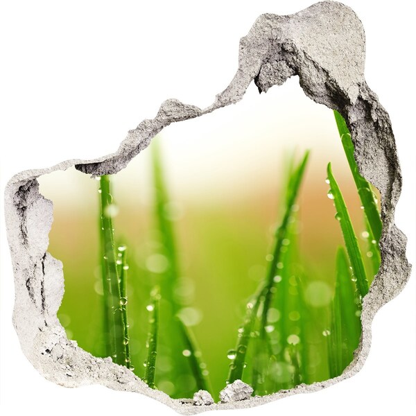 3d-s lyuk vizuális effektusok matrica Zöld rét vízcseppekkel