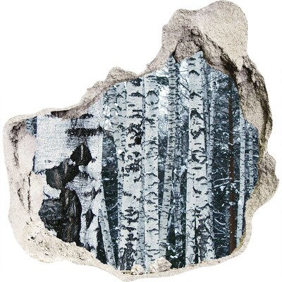 3d-s lyuk vizuális effektusok matrica Téli nyírfaerdő