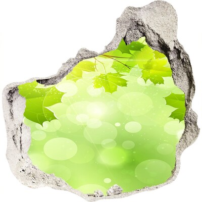 3d-s lyuk vizuális effektusok matrica Zöld oázis a levelek között