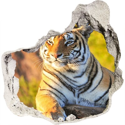 3d-s lyuk vizuális effektusok matrica Portré egy tigris