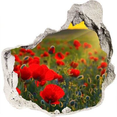 3d-s lyuk vizuális effektusok matrica Egy virágos paradicsom, amiben mindenütt ott van a lyuk