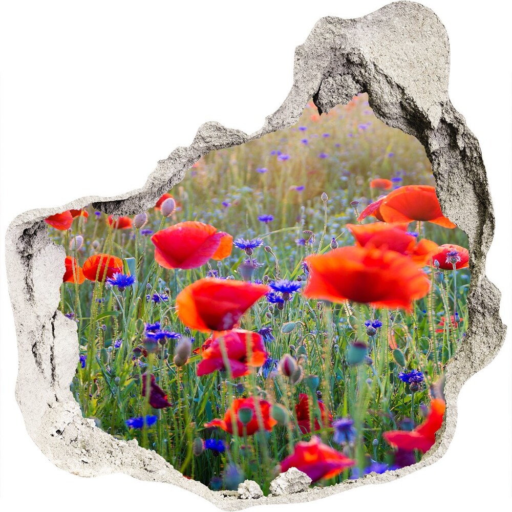 3d-s lyuk vizuális effektusok matrica Field virágok
