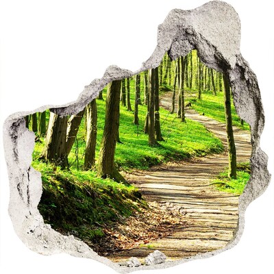 3d-s lyuk vizuális effektusok matrica Erdei ösvény a napsütésben