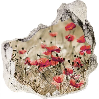 3d-s lyuk vizuális effektusok matrica Virágparadicsom a beton között