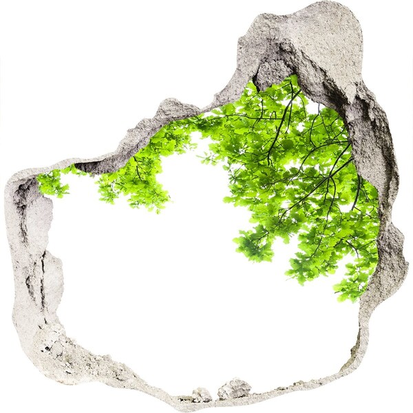 3d-s lyuk vizuális effektusok matrica Zöld oázis a fal mögött