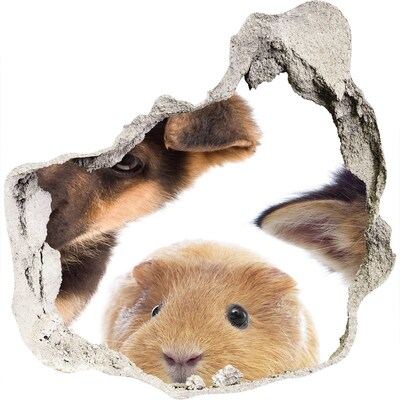 3d-s lyuk vizuális effektusok matrica Állatok a falon túlról