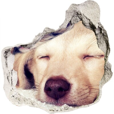 3d-s lyuk vizuális effektusok matrica Aranyos kutya egy lyukban a falban