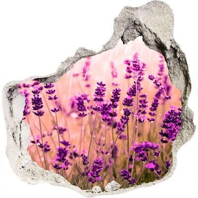 3d-s lyuk vizuális effektusok matrica Levendula virágos rét