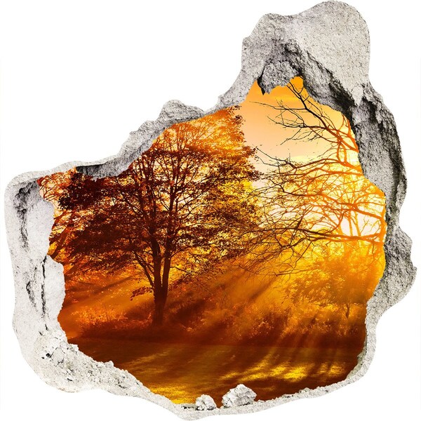 3d-s lyuk vizuális effektusok matrica Aranyló napsugarak az erdőben