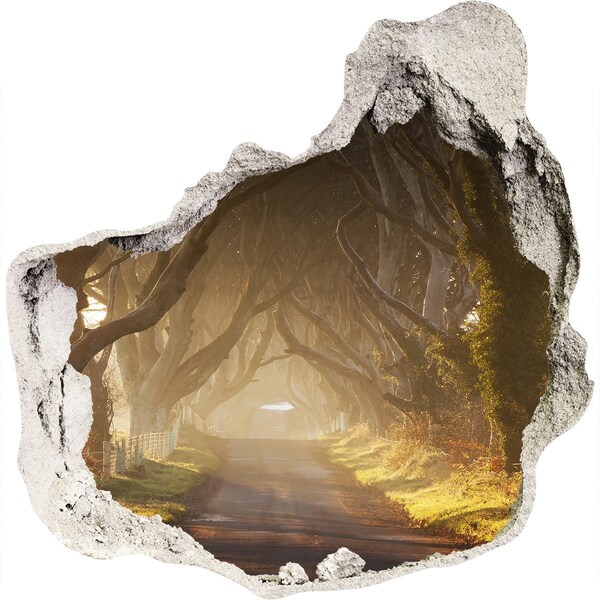 3d-s lyuk vizuális effektusok matrica Egy ösvény a fák között