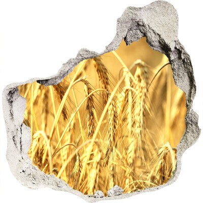 3d-s lyuk vizuális effektusok matrica Aranyló szemek a napsütésben