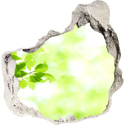 3d-s lyuk vizuális effektusok matrica Zöld paradicsom a fal mögött