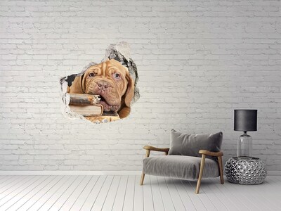 3d-s lyuk vizuális effektusok matrica Egy édes kiskutya a könyvek között