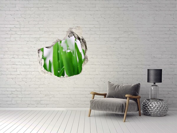 3d-s lyuk vizuális effektusok matrica Fűszál