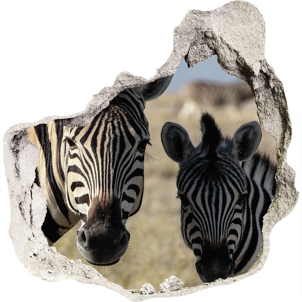 3d-s lyuk vizuális effektusok matrica Két zebrák