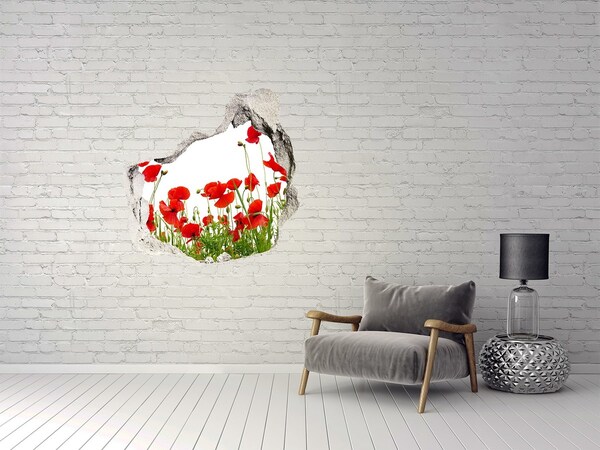 3d lyuk fal dekoráció Maki