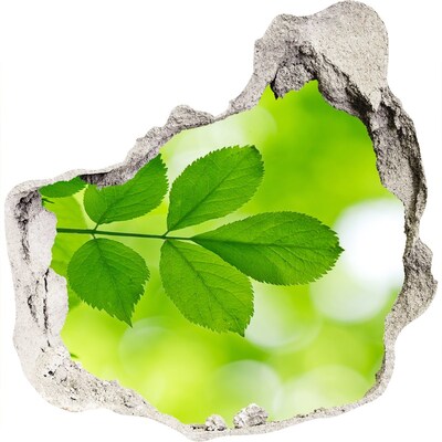 3d lyuk fal dekoráció Zöld levelek