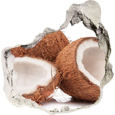 3d lyuk fal dekoráció Kókusz kincsek