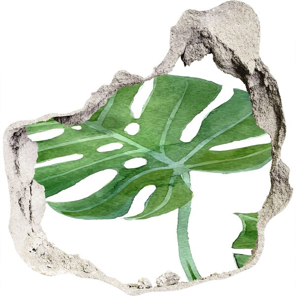 3d lyuk fal dekoráció Monstera