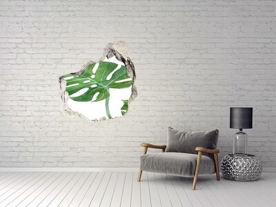 3d lyuk fal dekoráció Monstera
